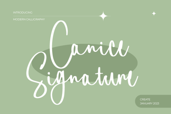 Canice Signature: Elevate Your Brand with Elegant Script